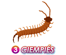 Triple Popular — 3 CIEMPIES