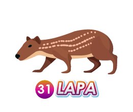 Triple Popular — 31 LAPA
