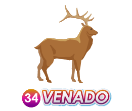 34 VENADO