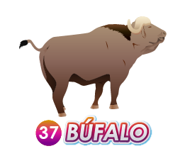 Triple Popular — 37 BUFALO