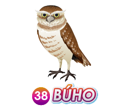 Triple Popular — 38 BUHO