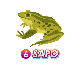 6 SAPO