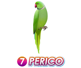 Triple Popular — 7 PERICO