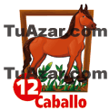 12 CABALLO