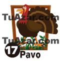 17 PAVO