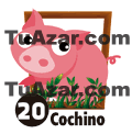 20 COCHINO