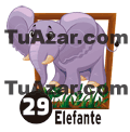 29 ELEFANTE