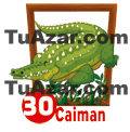 30 CAIMÁN