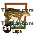 Tropi Gana — 31 LAPA