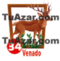 Tropi Gana — 34 VENADO