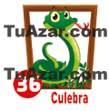 Tropi Gana — 36 CULEBRA