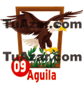Tropi Gana — 9 ÁGUILA