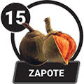 SAPOTE